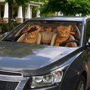 Abyssinian Cat Custom Car Windshield Sunshades