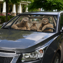 Sloths Custom Car Windshield Sunshades