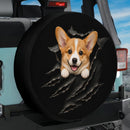 Corgi Dog Torn Through Car Spare Tire Cover