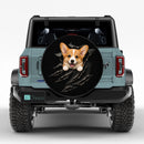Corgi Dog Torn Through Car Spare Tire Cover