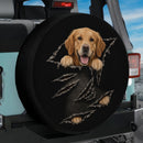 Golden Retriever Peeking Through Torn Car Spare Tire Cover