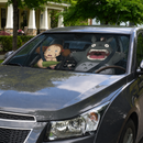 My Neighbor Totoro Custom Car Windshield Sunshades