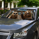 Beer Funny Camping Auto Sun Shades Windshield Accessories Decor Gift