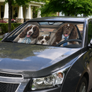 English Springer Spaniel Family Custom Car Windshield Sunshades
