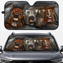 Rainy Driving Horses Custom Car Windshield Sunshades