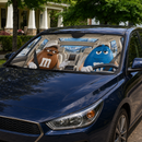Funny M&M Chocolate Brown Blue Driving Custom Car Windshield Sunshades