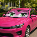 Funny Girly Pink Eyes Custom Car Windshield Sunshades