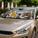 Funny M&M Chocolate Yellow Brown Driving Custom Car Windshield Sunshades