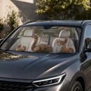 Squirrels Custom Car Windshield Sunshades
