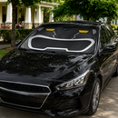 Power Rangers Wild Force Black Ranger Custom Car Windshield Sunshades