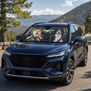 Cute Dogs Custom Car Windshield Sunshades