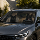 Funny Black Cats Driving Custom Car Windshield Sunshades