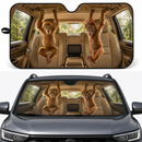 Funny Monkeys Custom Car Windshield Sunshades