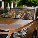 Personalized Driving Horses Custom Car Windshield Sunshades
