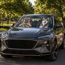 Funny Dogs Custom Car Windshield Sunshades