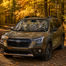 Moose Custom Car Windshield Sunshades