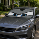 Grey Angry Eyes Custom Car Windshield Sunshades