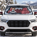 Snow Dog Custom Car Windshield Sunshades