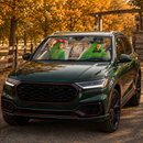 Green Eclectus Parrot Custom Car Windshield Sunshades