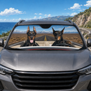 Doberman Dogs Custom Car Windshield Sunshades