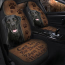 Get In Sit Down Shut Up Hold On Labrador Retriever Dog Premium Custom Car Seat Covers Decor Protectors Nearkii