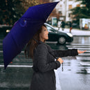 Peacock Umbrella Nearkii